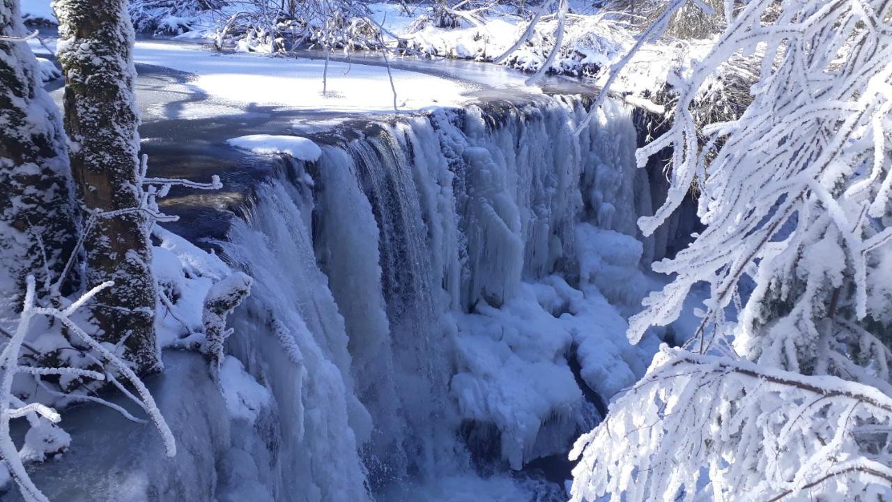 Traumgarten Allgaeu ريتينبيرغ المظهر الخارجي الصورة